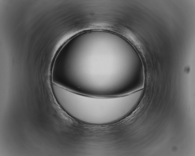 X0000098121336200804041359