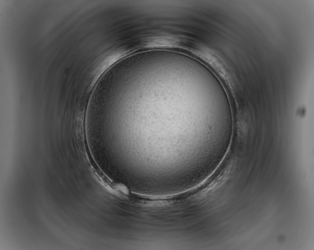 X0000098121337200804041359