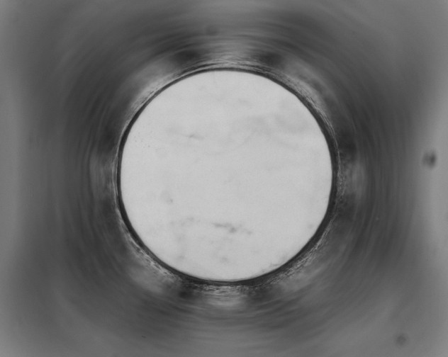 X0000098121338200804041359