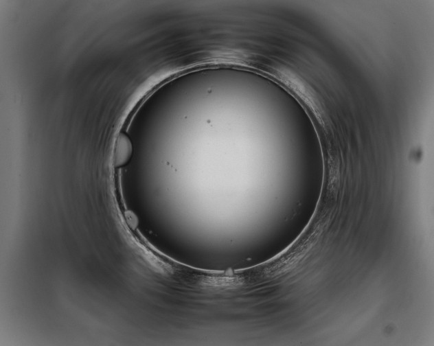 X0000098121339200804041359