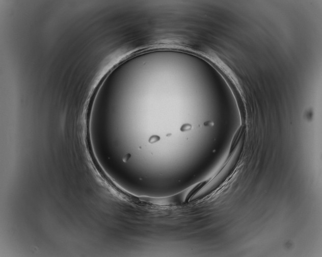 X0000098121341200804041359