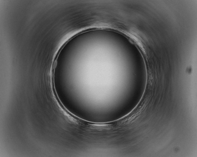 X0000098121343200804041359