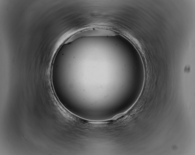 X0000098121344200804041359