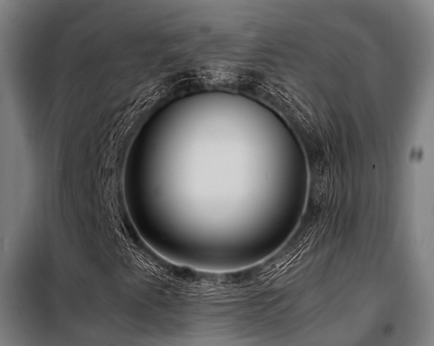 X0000098121345200804041358
