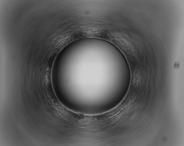 X0000098121346200804041358