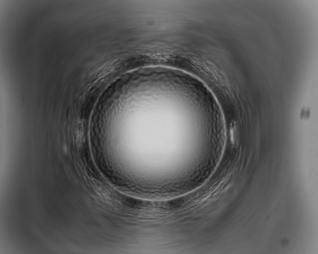X0000098121347200804041358
