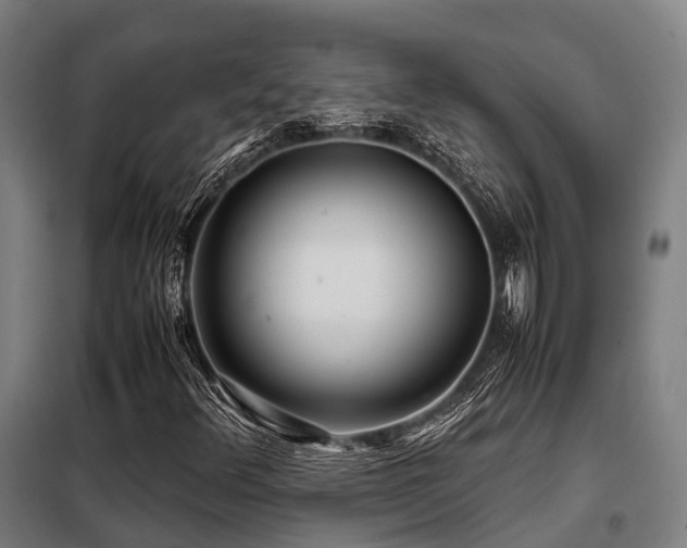 X0000098121348200804041358