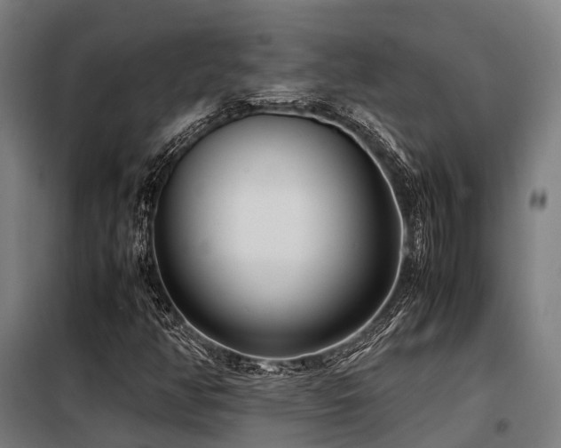 X0000098121350200804041358