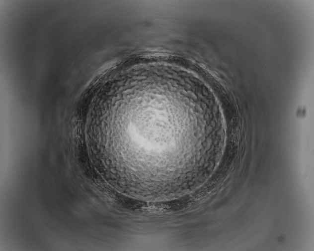 X0000098121351200804041358