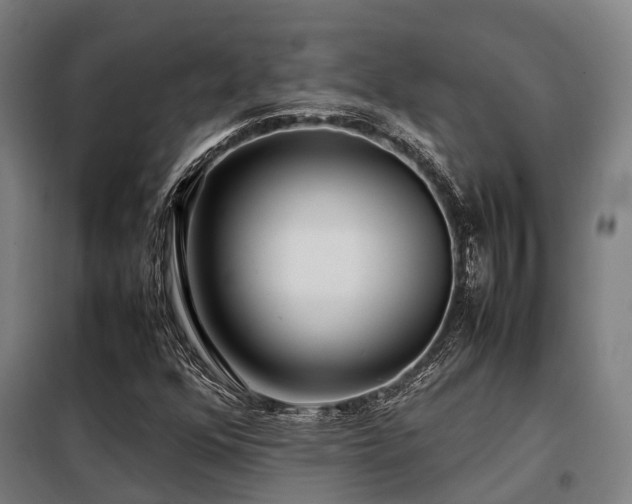 X0000098121352200804041358