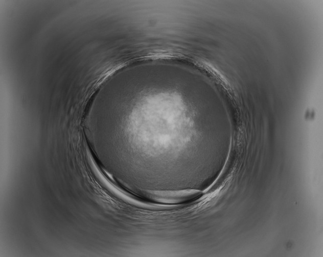 X0000098121353200804041358