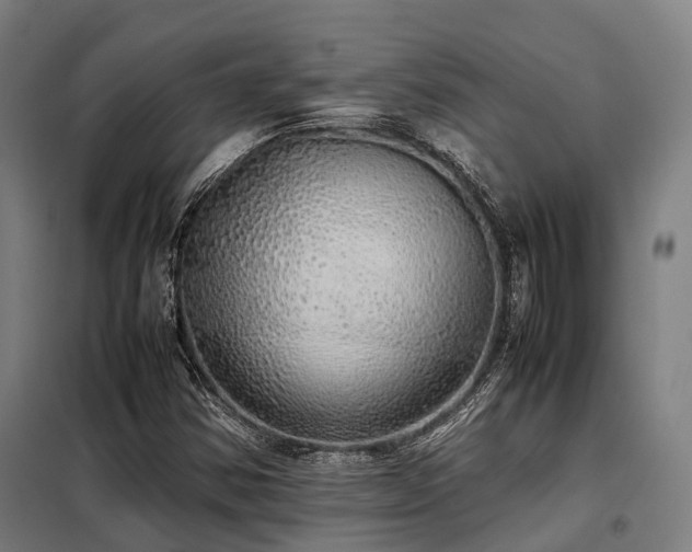 X0000098121354200804041358