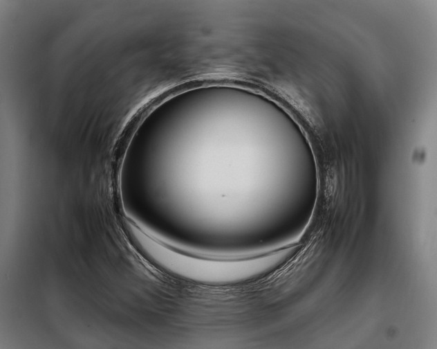 X0000098121356200804041358