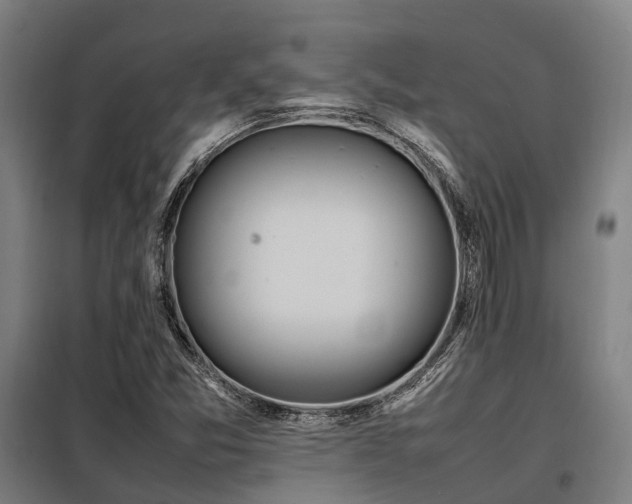 X0000098121357200804041358