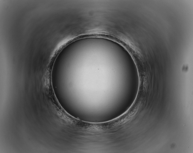 X0000098121358200804041358