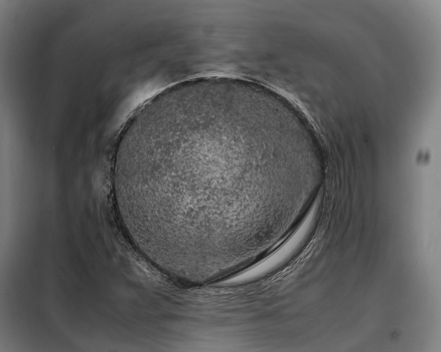 X0000098121359200804041358