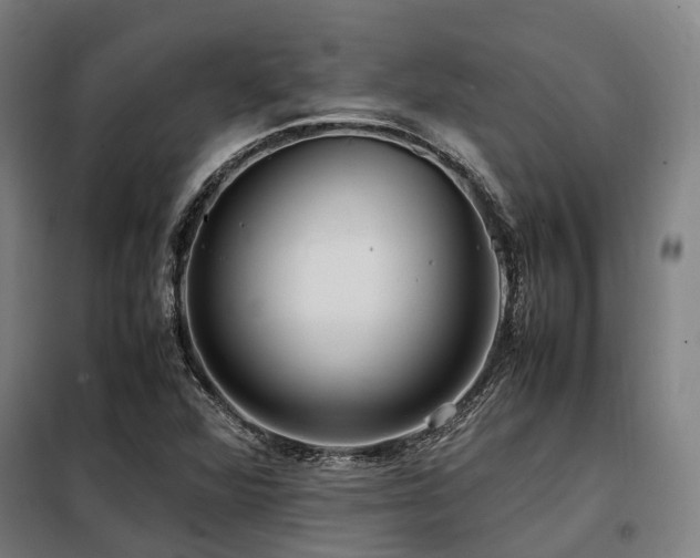 X0000098121360200804041358