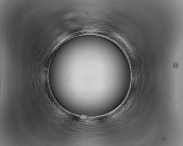 X0000098121361200804041358