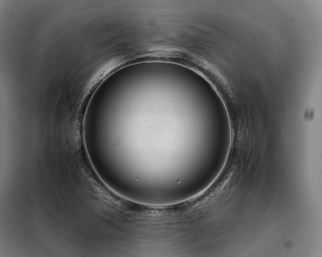 X0000098121362200804041358