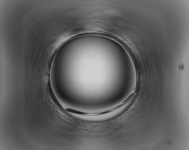 X0000098121363200804041358