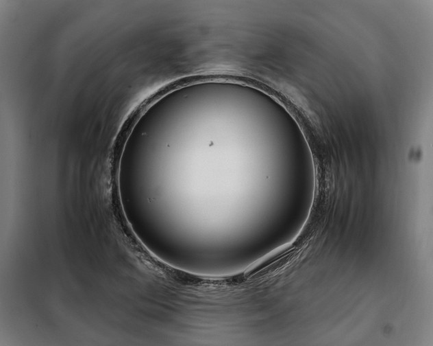 X0000098121364200804041358