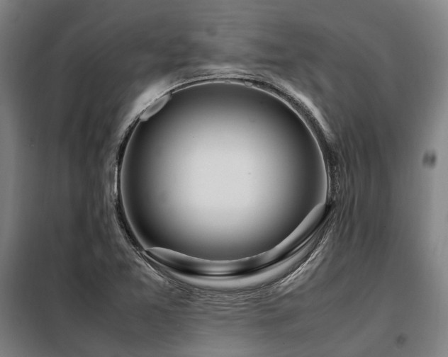 X0000098121365200804041358