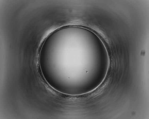 X0000098121366200804041358
