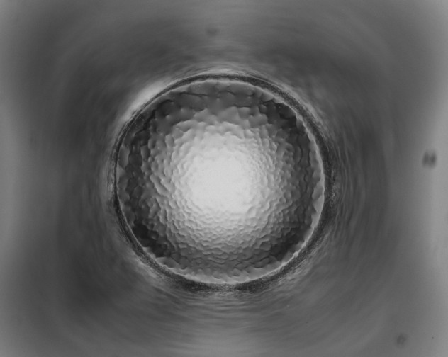 X0000098121367200804041358