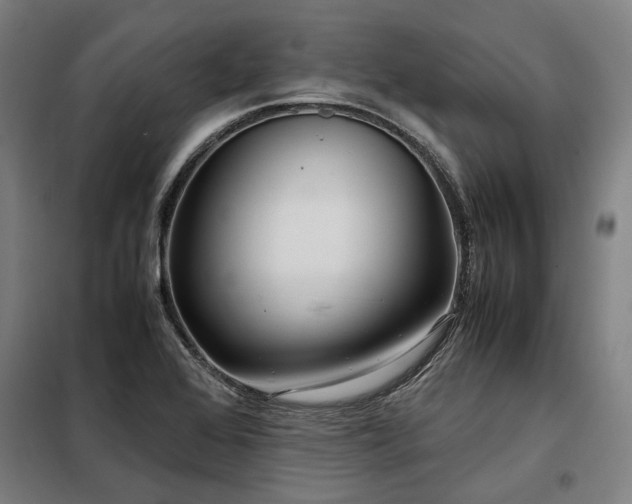 X0000098121368200804041358