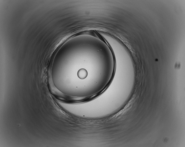 X0000098121369200804041358