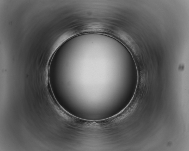 X0000098121370200804041358