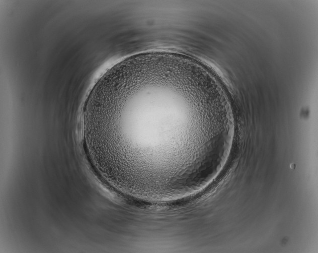 X0000098121371200804041358