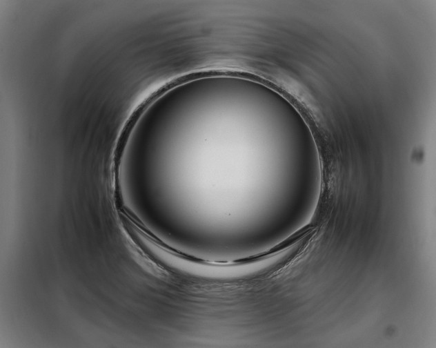 X0000098121372200804041358