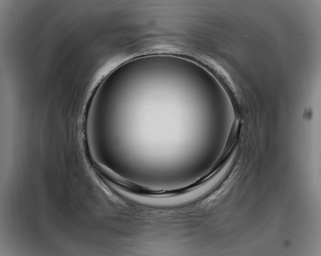 X0000098121373200804041358