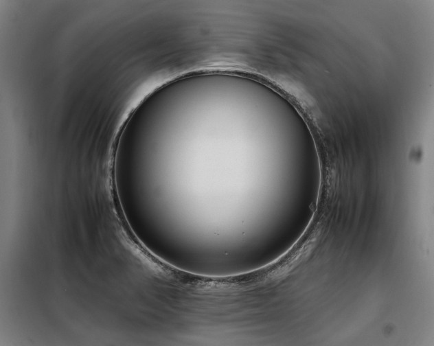 X0000098121374200804041358