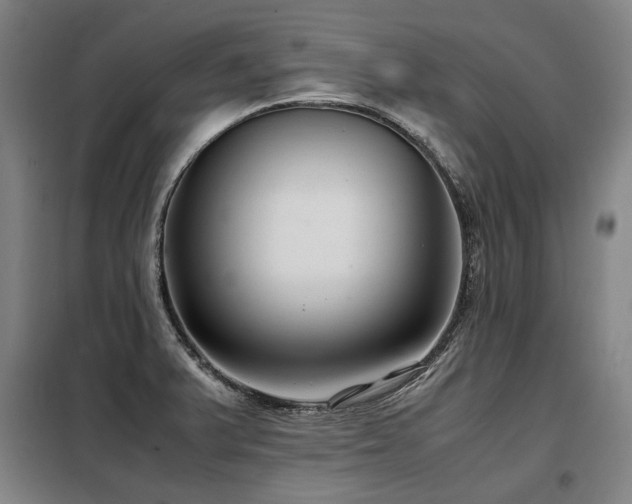 X0000098121375200804041358