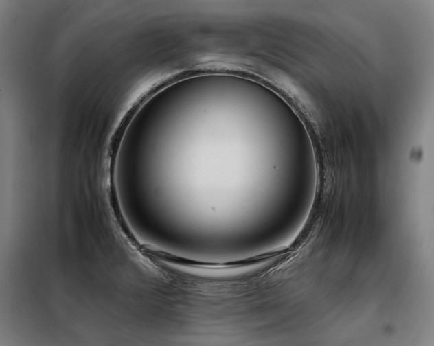 X0000098121376200804041358