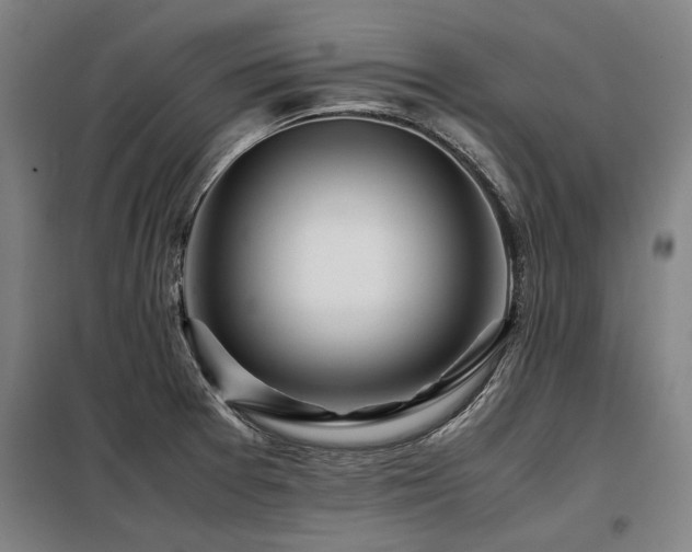 X0000098121377200804041358