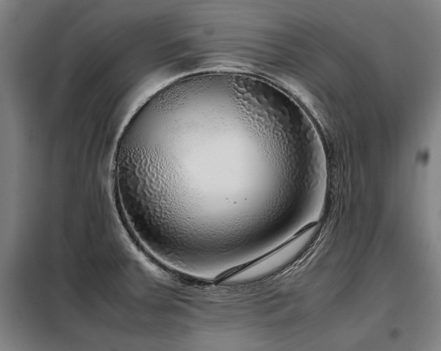 X0000098121379200804041358