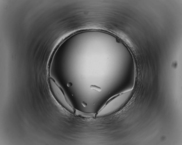 X0000098121380200804041358