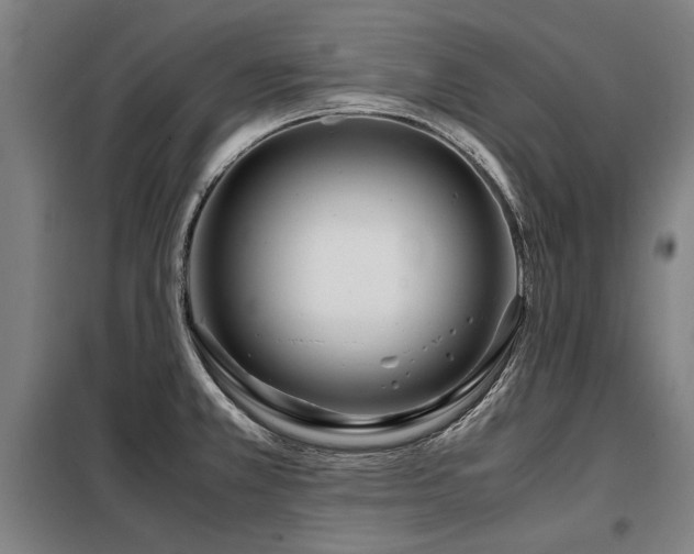 X0000098121381200804041358