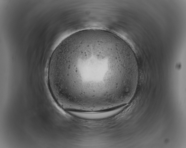 X0000098121383200804041358