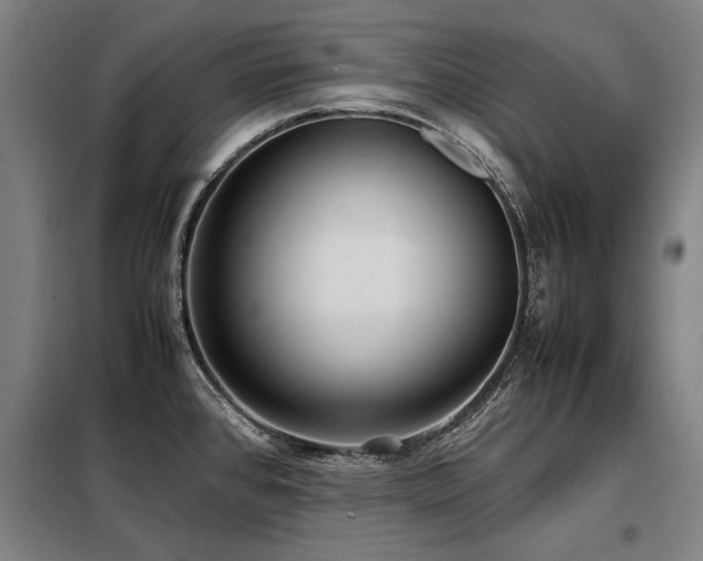 X0000098121384200804041358