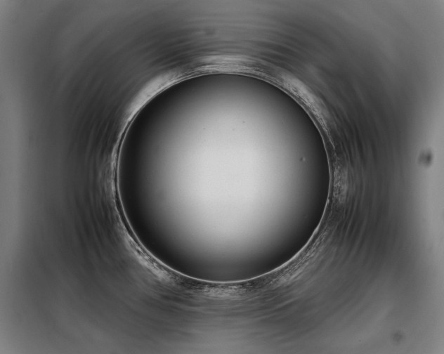 X0000098121386200804041358