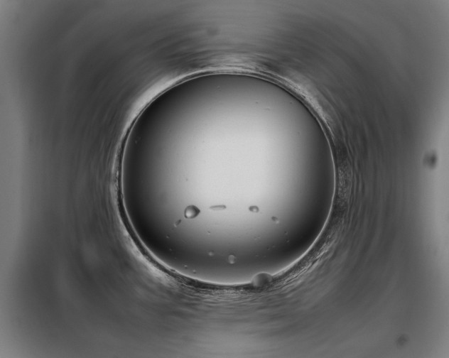 X0000098121387200804041358