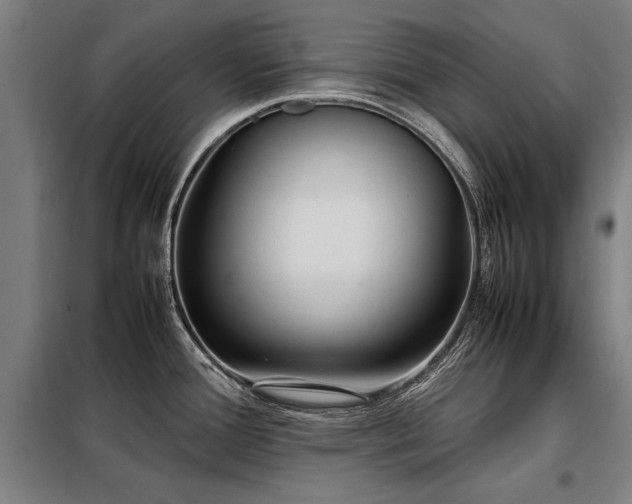 X0000098121388200804041358