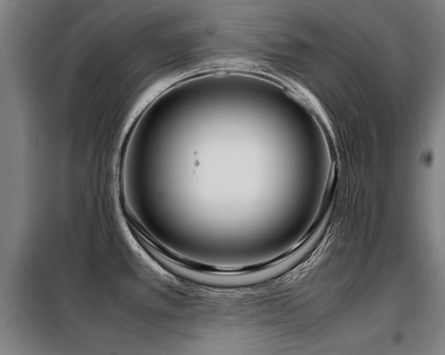 X0000098121389200804041357