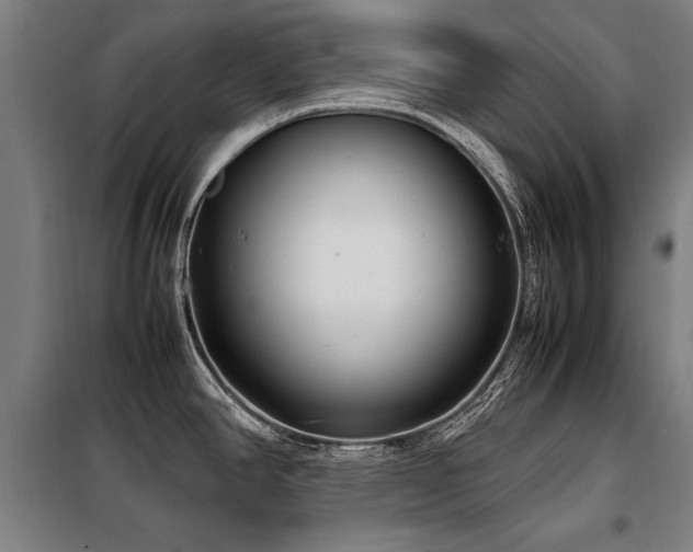 X0000098121390200804041357