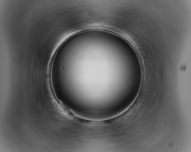 X0000098121392200804041357