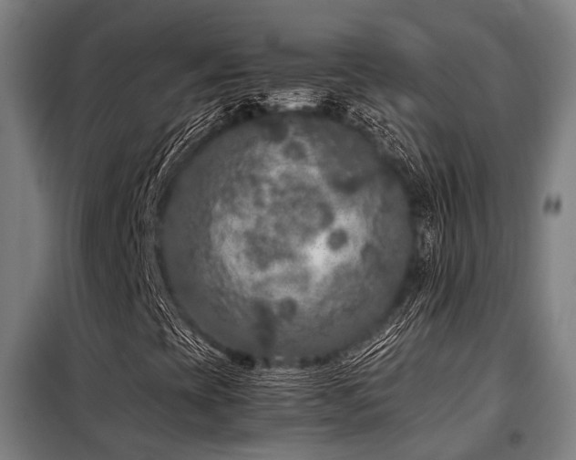 X0000098121393200804041357